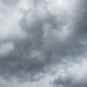 Meet your Posher, Dayna